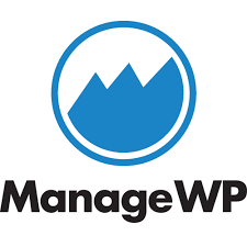 White-Label Plugin & Theme Updates managewp